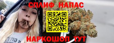 мдпв Будённовск