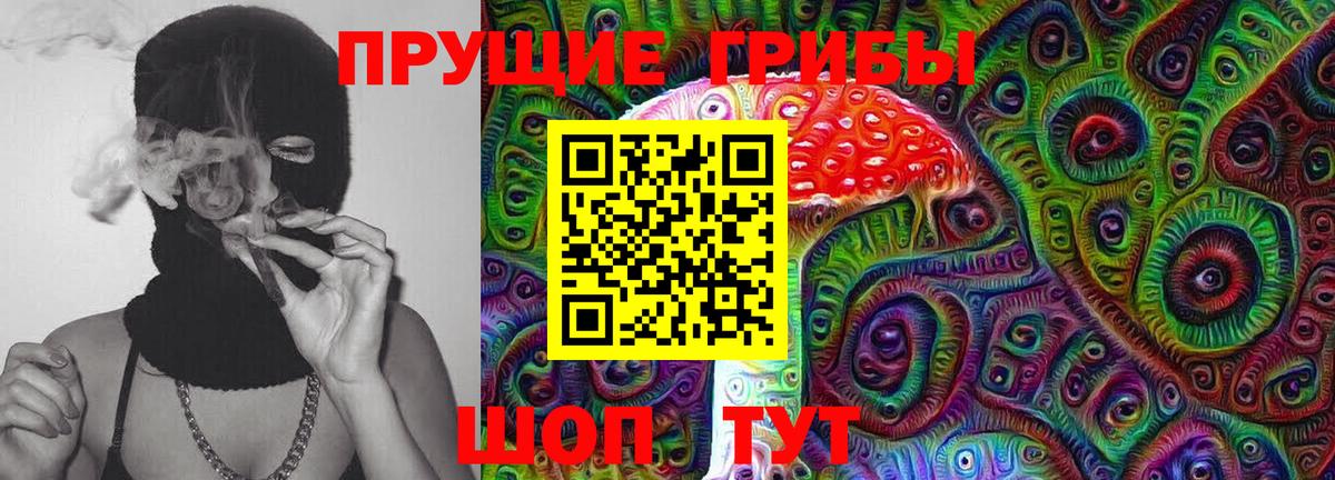 Кореновск  Псилоцибиновые грибы GOLDEN TEACHER  Вход с VPN 
