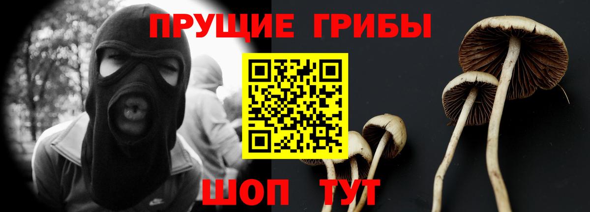 Псилоцибиновые грибы Cubensis Кореновск